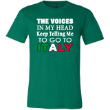 Voices in My Head Shirt