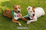 Italia Heart Pet Bandana