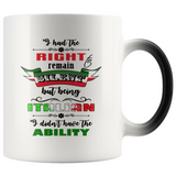 I Had the Right to Remain Silent I Color Changing Mug