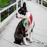 Italia Heart Pet Bandana